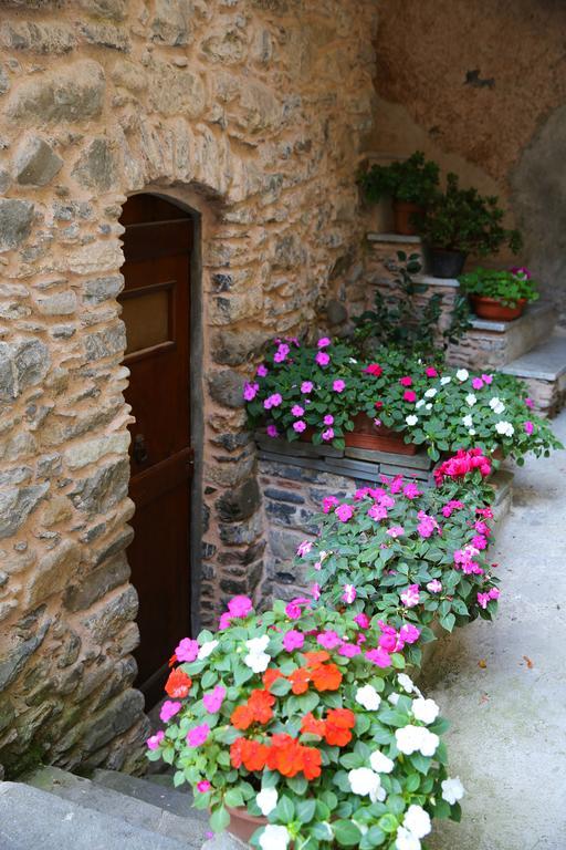 La Meridiana Casale Pignone Rum bild